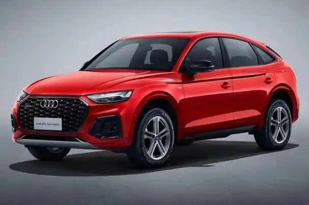 23万提了辆新款奥迪q3,开了8530公里,车主一肚子话要说