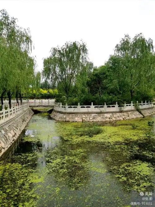 七里河公园美景