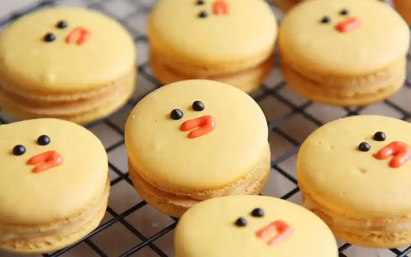 asmr莎莉鸡马卡龙周冬雨这么可爱你怎么可以吃掉它linesallymacaron