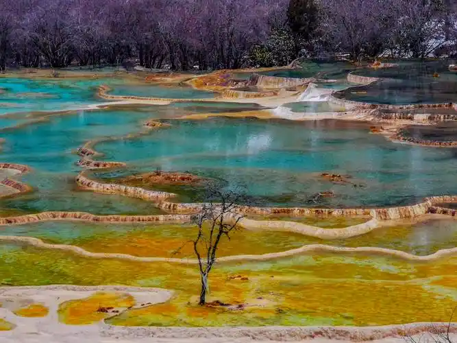 大美四川黄龙沟风景区_景观_中国_海拔