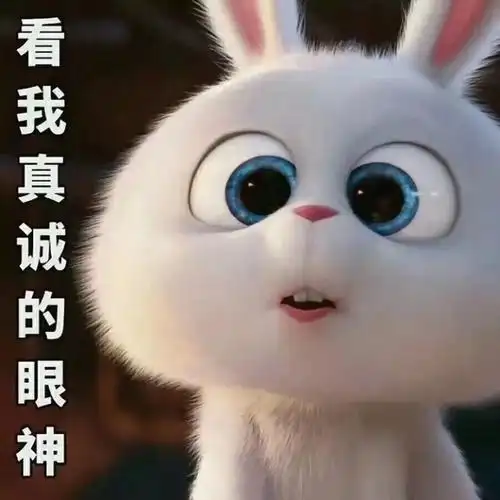 爱宠大机密表情包合集(史上最全版)