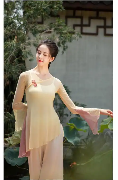 新品中国舞舞蹈服成人古典舞民族现代舞演出练功服上衣女成人纱衣舞蹈