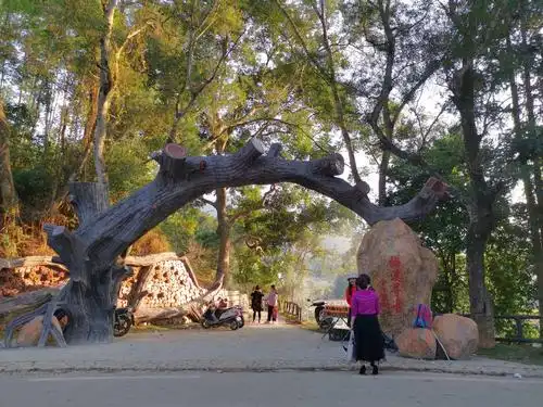 揭西坪上镇石内河