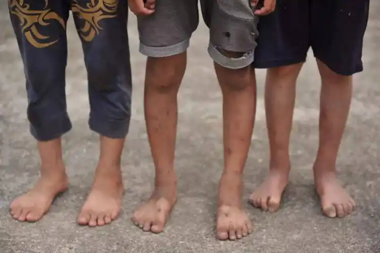 们陆陆续续的来到学校,让我有些吃惊的是,一些孩子竟然是光着脚上学