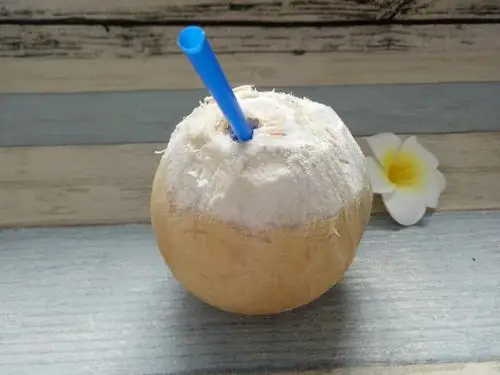 今日团购|抢购泰国树熟黄金椰子皇!4枚56.6元包邮!