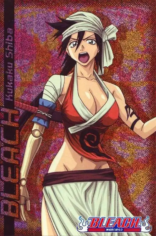 出自作品:死神人物:志波空鹤(此女危险,接近谨慎)