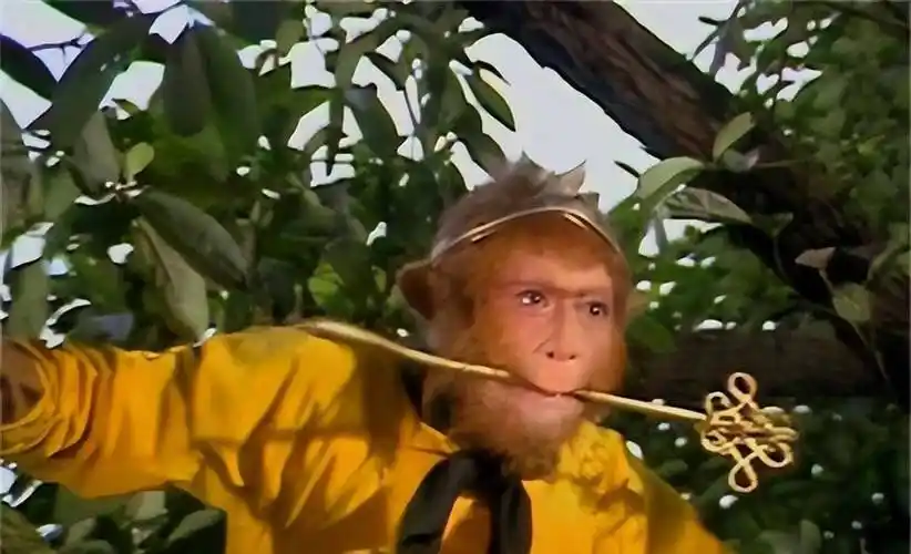 原创猪八戒为何不细嚼就将人参果一口吞掉其实他知道其中的秘密