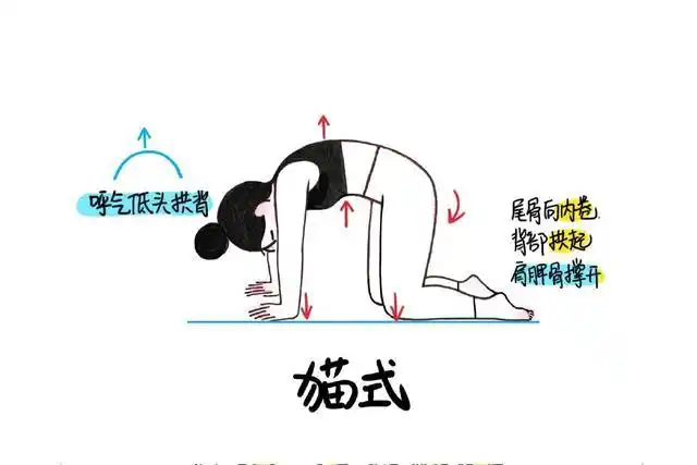 以上3个瑜伽动作就是拉伸腿部肌肉的绝佳技能了,所以一定要好好练习哦