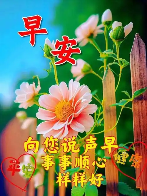 早安图片大全早安暖心祝福图片温馨早安祝福语大全