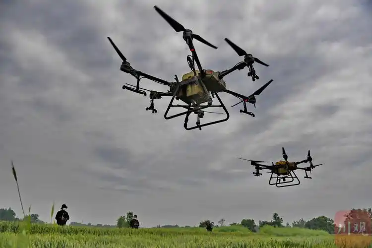 c视觉丨成都大邑农业科技助力春耕春管