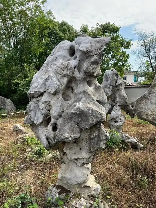 造景必备太湖石