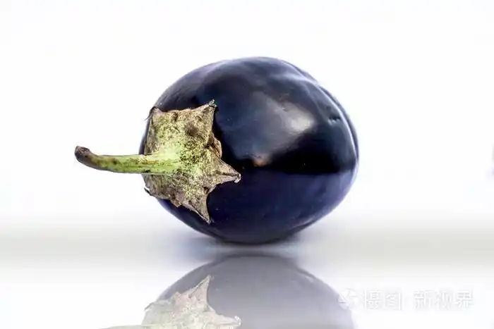 close up of fresh organic egg plant or bringal or aubergines or