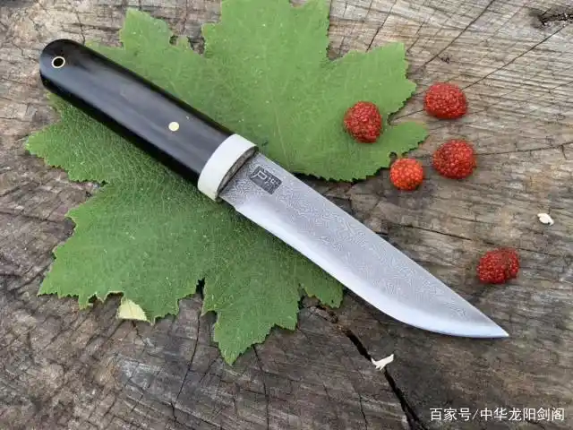 「鉴赏」户撒黑檀木小匕首