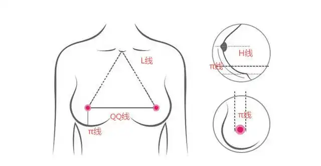 东方女性美胸五大黄金线你达标了吗?