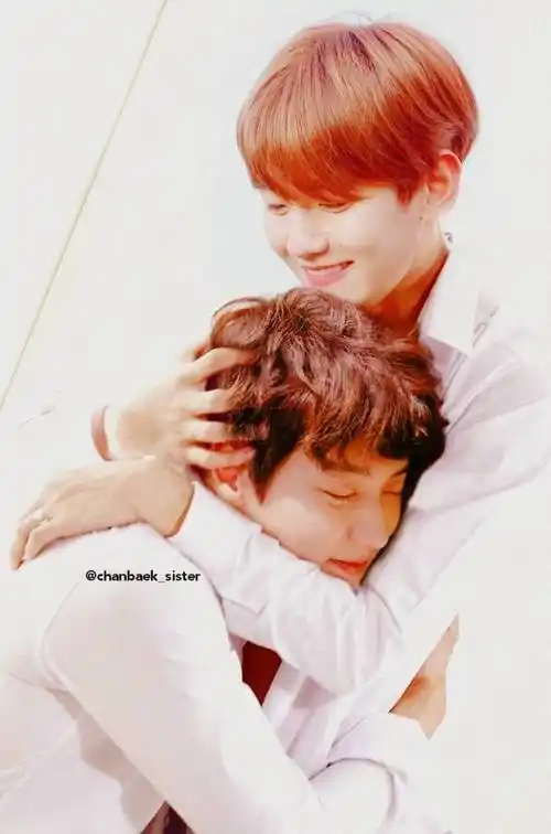 exo 灿白 朴灿烈 边伯贤 壁纸 背景 头像