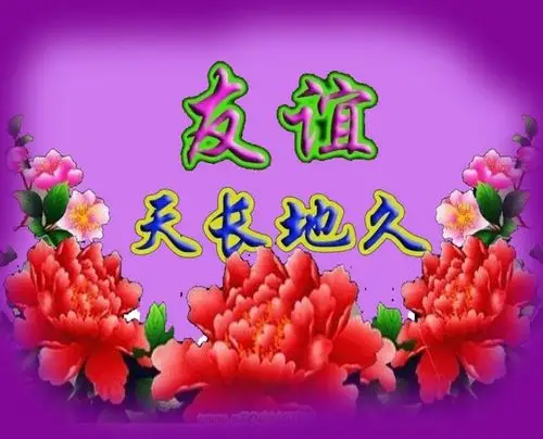 一开始,我登录《北京知青网》,用了吃奶的劲儿,两个月都没有登录功