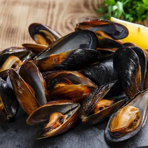 贝类大全常见的贝类有哪些贝类海鲜图片及名称