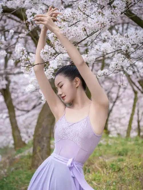 樱花和舞蹈的碰撞