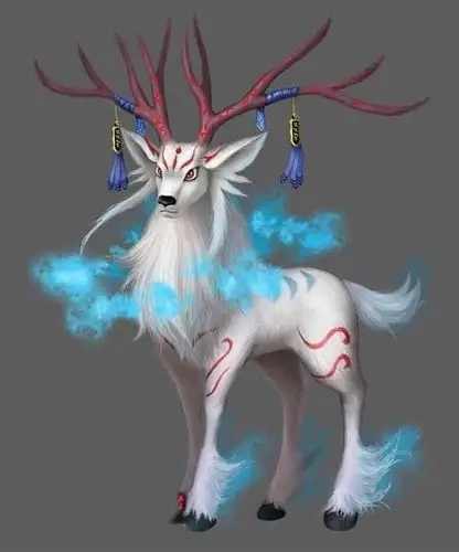 白泽| 短篇小说—荒冢之役