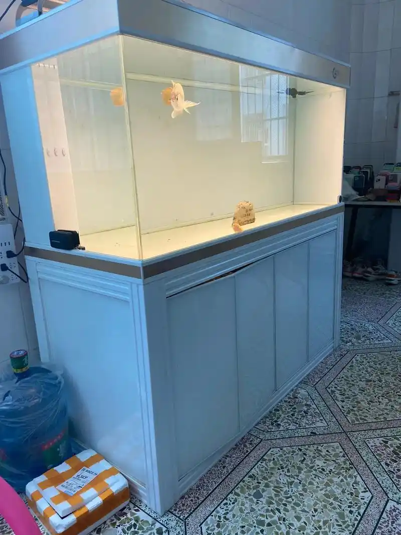 底滤鱼缸 153 68 双水位 汕头自提 2800#印尼红龙 - 抖音