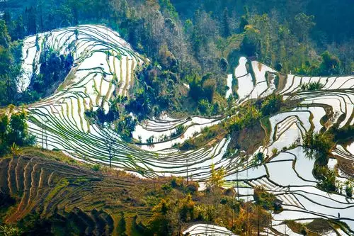 元阳老虎嘴梯田好玩吗,元阳老虎嘴梯田景点怎么样_点评_评价【携程