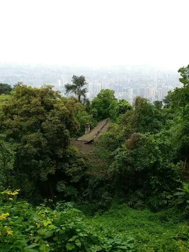 重庆市沙坪坝区歌乐山镇歌乐山国家森林公园天气预报