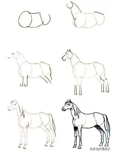 马怎么画,几张图教你学会画马
