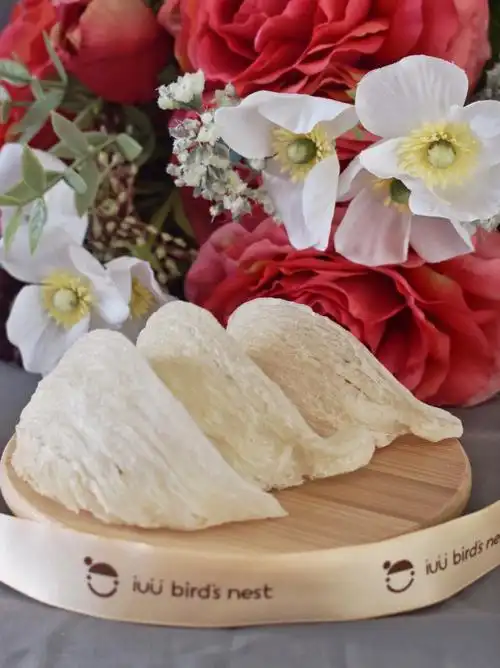 原产地印尼,超高清的美丽6a大燕盏怼"脸"实拍欢迎