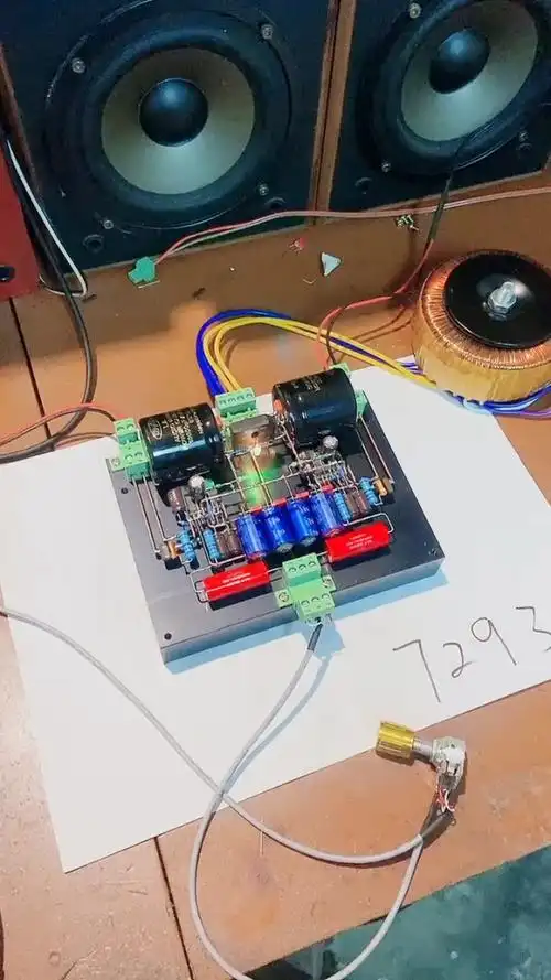 新品7293搭棚功放,纯手工进口发烧级零件制作,喜欢的老铁可以联系我