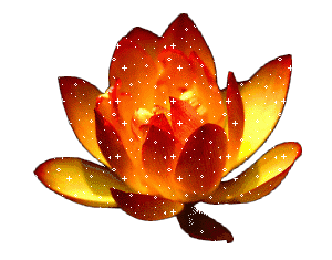 300_235gif 动态图 动图