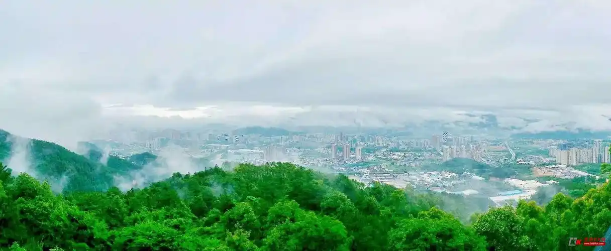 雨后大锦山 - 龙岩热点 - 龙岩kk网 - powered by discuz!