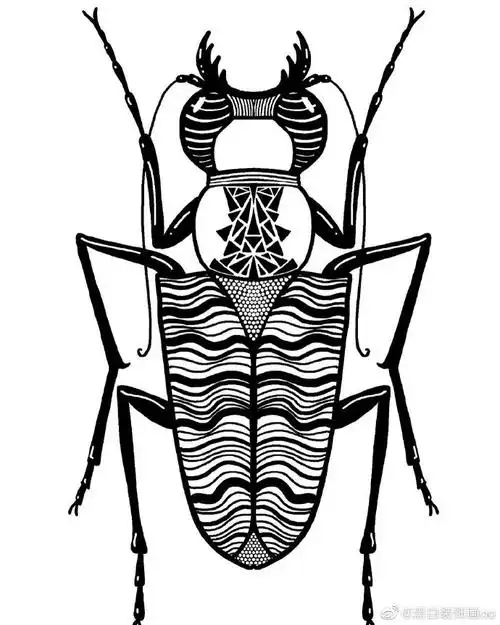 黑白装饰画##线描##儿童线描画##线描##儿童画线描课资料##昆虫