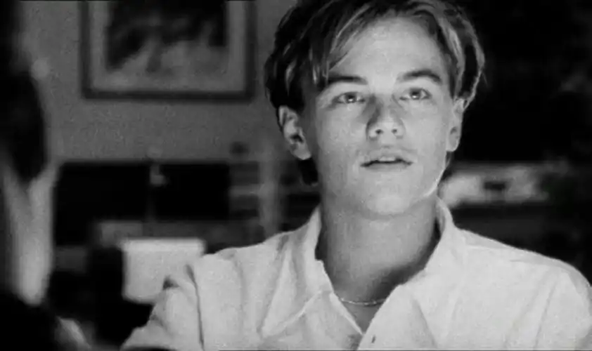 小李子 - 堆糖,美图壁纸兴趣社区