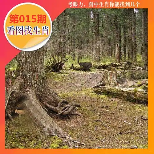 015期四不像图 2019年今期四不像图是什么?