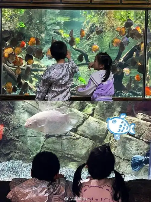 热带雨林,海洋探秘,深蓝色的大海之旅  979797979797