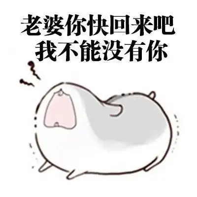 仓鼠表情包:老婆你快回来吧,我不能没有你