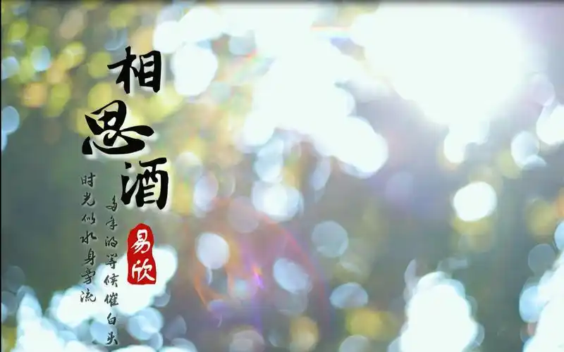 易欣《相思酒》mv分享-【heat music】