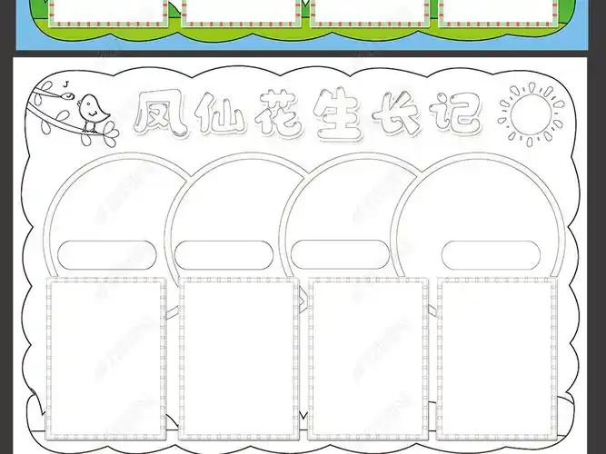 凤仙花生长记录手抄报植物小报小学生电子模板