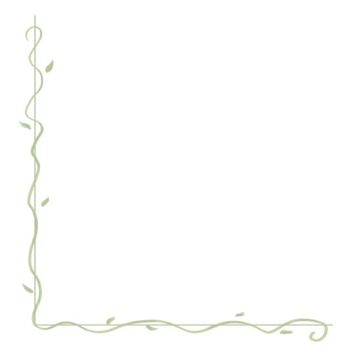 清新简单可爱简约边框png素材