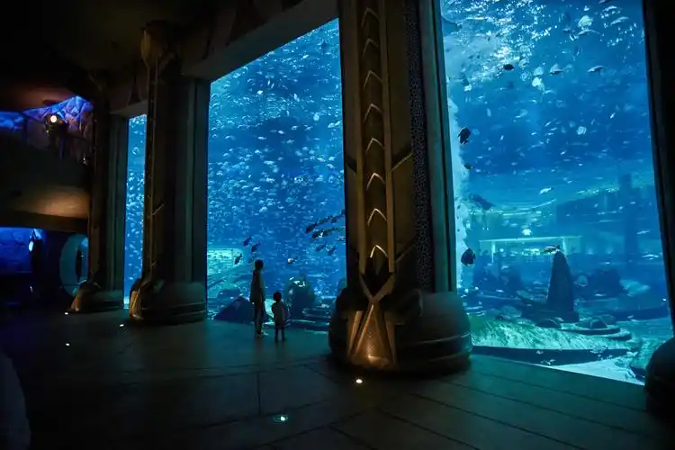三亚亚特兰蒂斯酒店水族馆随拍