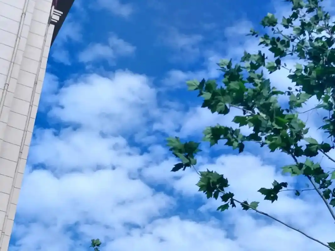 评论区天空摄影 #捕捉夏日天空  - 抖音