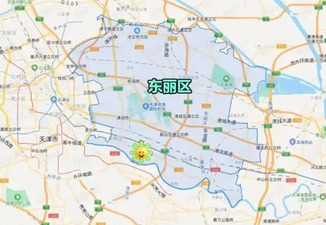 中建新丽壹号项目坐落于天津东丽区,东丽区位于天津东部环城,地处天津