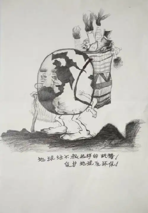 2017重庆环保网络晚会 "环保有我"创意作品:no84:王凤 《保护地球