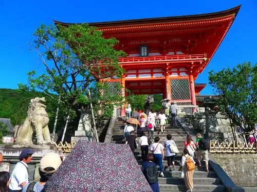清水寺,位于京都东部音羽山的山腰,始建于778年,是京都最古老的撕院