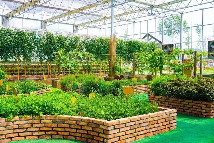 海盐竟然有这么一家科技智慧喜番乐有机生态农场听说这里有水果蔬菜中