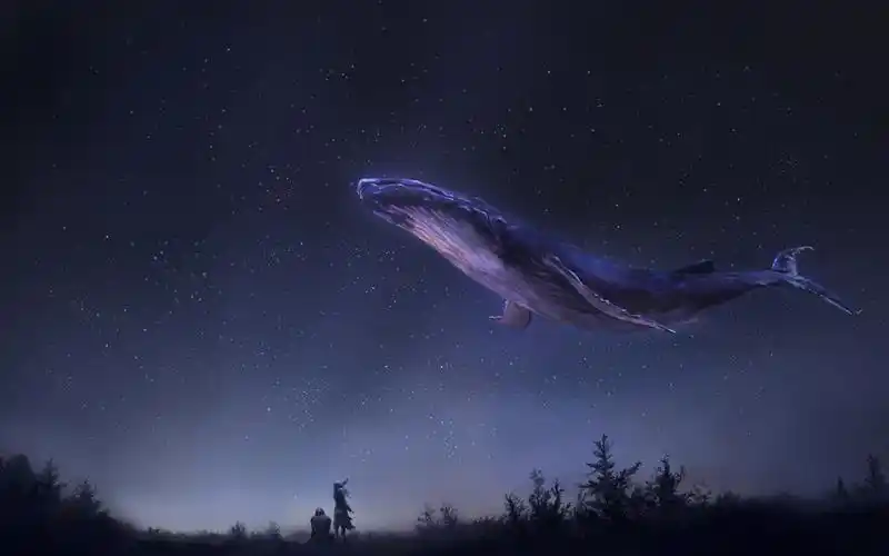 北冥有鱼其名为鲲晃子丶商插鱼写实夜空涂鸦王国