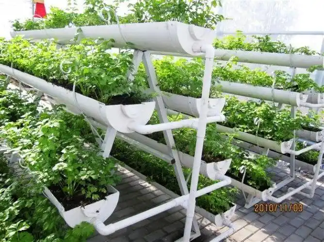 蔬菜大棚种植技术