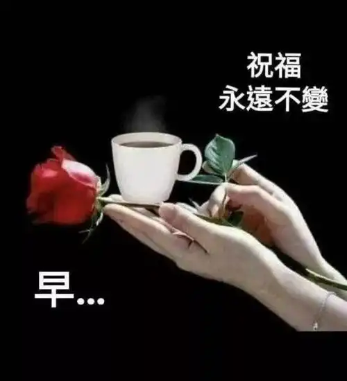 往后余生,珍惜所有