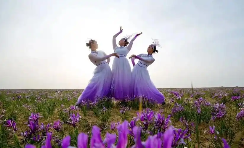 马兰花开锦·醉美鄂前旗