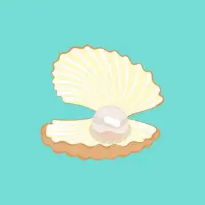 打开的卡通贝壳一颗珍珠的矢量贝壳照片